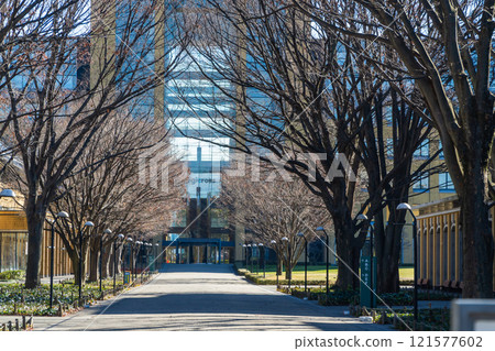 青山學院大學相模原校區正門 121577602
