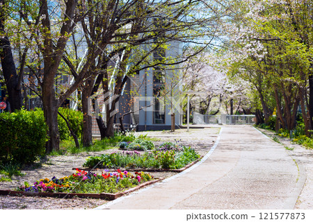 春天的新船場西公園與新船場南公園 春天的新船場西公園與新船場南公園 121577873