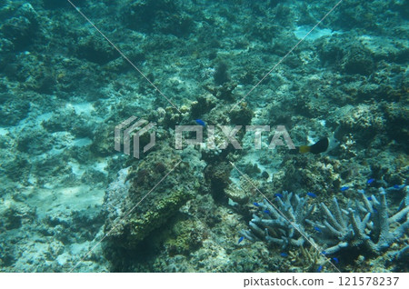 藍色的海 藍色的海 121578237