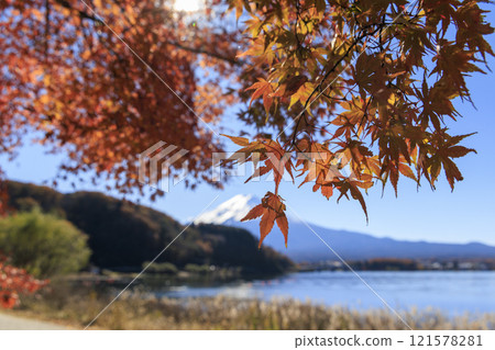 從河口湖畔拍攝的富士山和秋葉 121578281