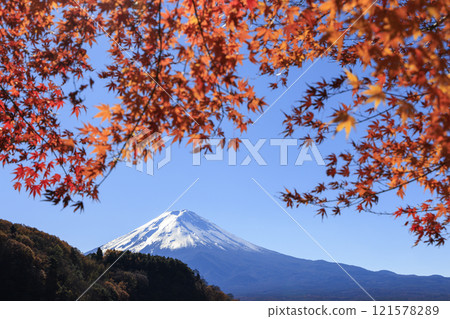Mount Fuji and autumn leaves taken from the shores of Lake Kawaguchi Mount Fuji and autumn leaves taken from the shores of Lake Kawaguchi 121578289