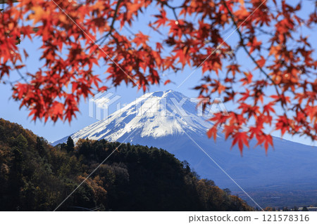 Mount Fuji and autumn leaves taken from the shores of Lake Kawaguchi 121578316