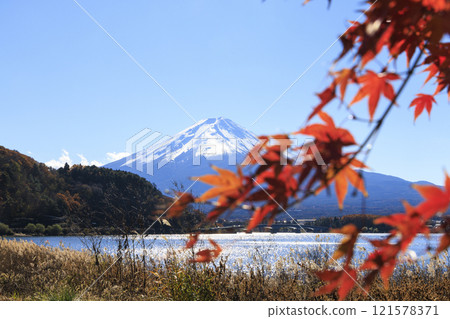 Mount Fuji and autumn leaves taken from the shores of Lake Kawaguchi Mount Fuji and autumn leaves taken from the shores of Lake Kawaguchi 121578371