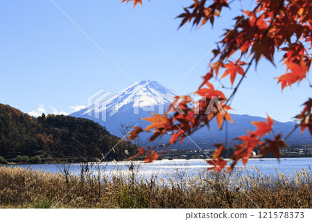 Mount Fuji and autumn leaves taken from the shores of Lake Kawaguchi Mount Fuji and autumn leaves taken from the shores of Lake Kawaguchi 121578373