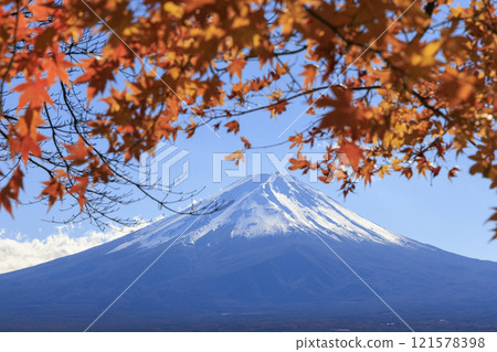 Mount Fuji and autumn leaves taken from the shores of Lake Kawaguchi 121578398