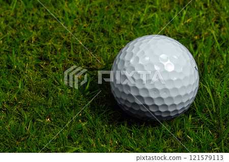高爾夫球 121579113