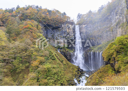 Kegon Falls in the autumn leaves of Oku-Nikko Kegon Falls in the autumn leaves of Oku-Nikko 121579503