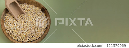 Pearl barley in green background copy space. Whole spelt grain species. High protein fiber-rich vegan plant based food ingredient. Gluten free superfood healthy nutritional dietary alternative 121579969