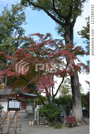 秋葉風景 秋葉風景 121580342