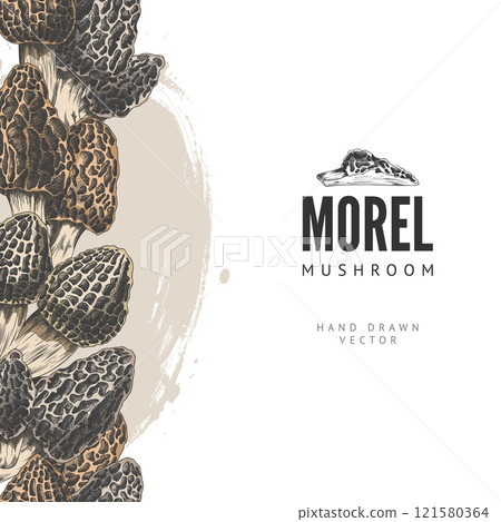 Vector vertical border in the style of a hand-drawn colored sketch with morel mushrooms. 121580364