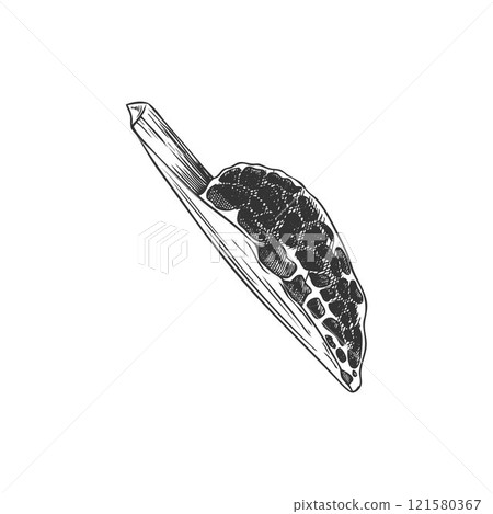 Vector black and white illustration of a sketch with the image of a slice of mushroom. 121580367