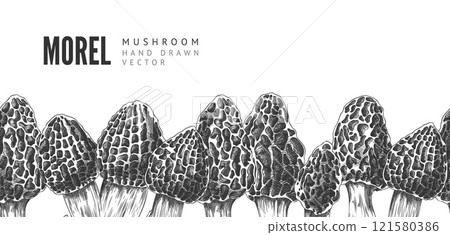 Vector border in the style of detailed black and white sketch of whole morel mushrooms. 121580386