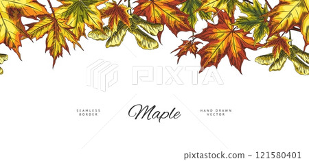 Vector Illustration of a banner with seamless colorful autumn maple leaves on the top border. 121580401