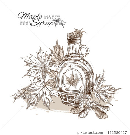 Bottle of maple syrup, maple leaves and seeds, engraved hand drawn vintage vector design, sweet topping product sketch 121580427