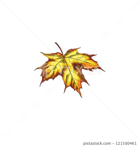 Hand drawn watercolor illustration of autumn maple leaf in graphic style. Hand drawn watercolor illustration of autumn maple leaf in graphic style. 121580461