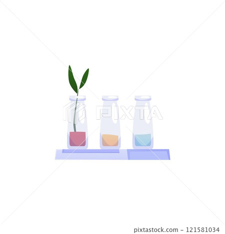 Illustration of a shelf with three flasks with different fillings, from which one plant sprouted. 121581034