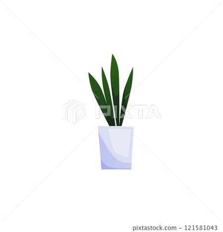 Vector illustration of a houseplant in a pot on an isolated background. 121581043