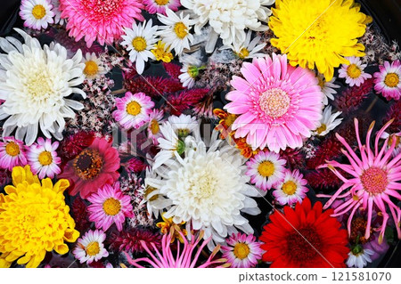 Colorful flowers 121581070