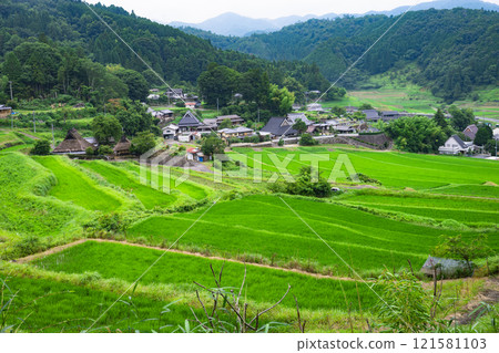 Country landscape 121581103