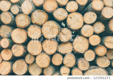 Background made of cut trees, color toning applied. Background made of cut trees, color toning applied. 121581271