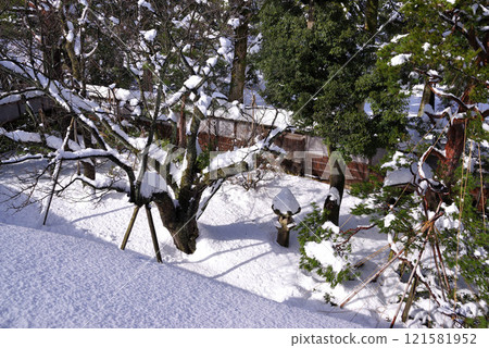 Seisonkaku Garden in winter 121581952