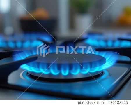 Blue flames dance on the gas stove as a meal prepares in a modern kitchen setting Blue flames dance on the gas stove as a meal prepares in a modern kitchen setting 121582305