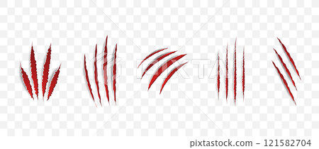 Cat scratch. Realistic set of animal claw marks isolated on transparent background. Red marks of cats tiger lion or wild animals. Flat vector illustration Cat scratch. Realistic set of animal claw marks isolated on transparent background. Red marks of cats tiger lion or wild animals. Flat vector illustration 121582704