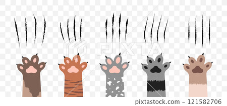 Cat scratch. Set of claws scratches, pets or wild animal nails rip isolated on transparent background. Lion or tiger flat scratch marks. Cartoon cat foot print. Vector illustration 121582706