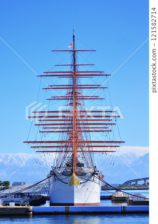 海王圓 121582714