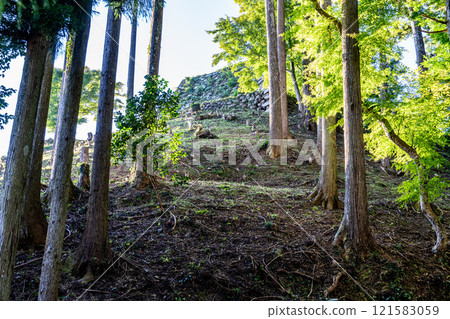 【日本名城百選】秋日早晨的津和野城，樹叢間可見石牆，島根縣嘉子郡津和野町 121583059