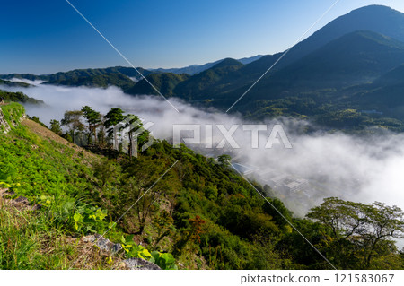 【日本名城百選】秋日早晨的津和野城 從島根縣香椎郡三十劍台津和野町看到的雲海3 121583067