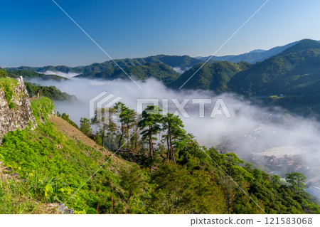 秋日早晨的津和野城 從山十六劍台看到的雲海 島根縣嘉子郡津和野町 4 121583068