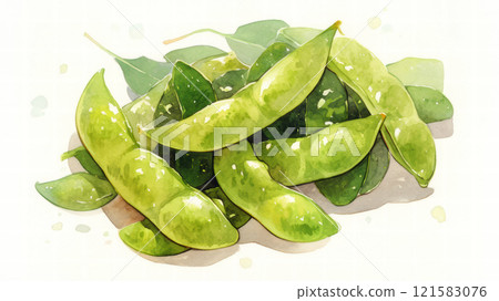 Edamame drawn in watercolors 121583076