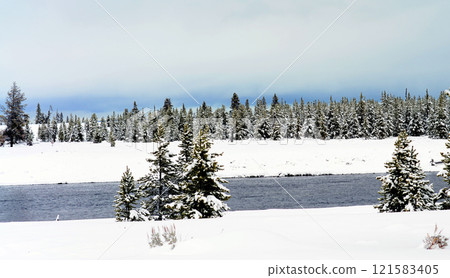 Yellowstone Winter Snow Madison River 121583405