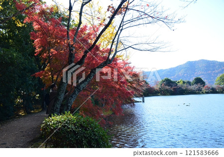 Autumn in Kitasaga Autumn in Kitasaga 121583666