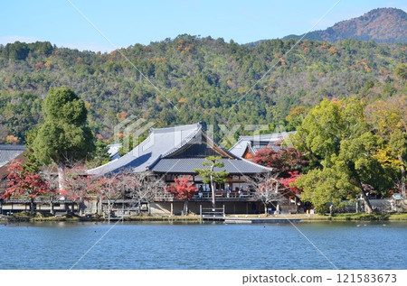 Autumn in Kitasaga 121583673