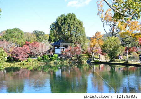 Autumn in Kitasaga 121583833