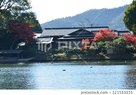 Autumn in Kitasaga 121583835