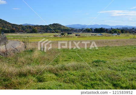 北佐賀的秋天 121583952