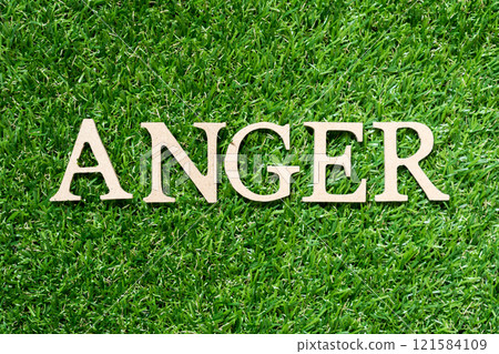 Wood alphabet letter in word anger on artificial green grass background Wood alphabet letter in word anger on artificial green grass background 121584109