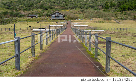Hachijo Fuji Fureai Ranch 121584293