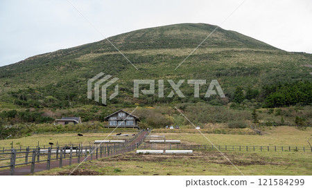 Hachijo Fuji Fureai Ranch 121584299