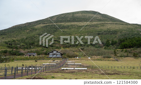Hachijo Fuji Fureai Ranch Hachijo Fuji Fureai Ranch 121584300