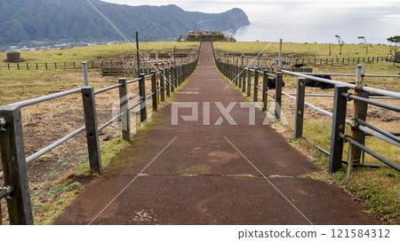 八丈富士親緣牧場 八丈富士親緣牧場 121584312