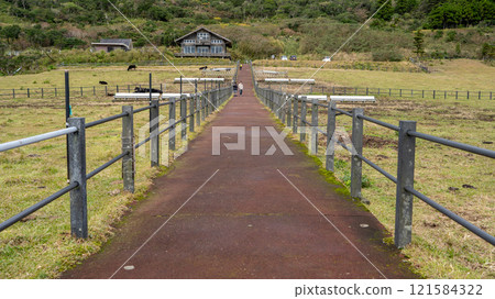 Hachijo Fuji Fureai Ranch Hachijo Fuji Fureai Ranch 121584322