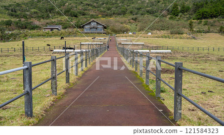 Hachijo Fuji Fureai Ranch Hachijo Fuji Fureai Ranch 121584323