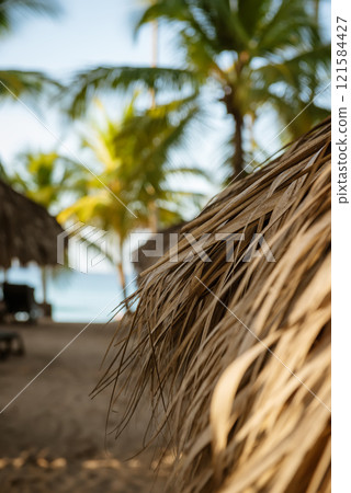 Tropical carribbean beach Tropical carribbean beach 121584427