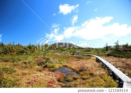 Keiba Taira 121584514