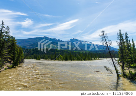 Jasper National Park summer landscape. Miette River before its confluence with the Athabasca River. Alberta, Canada. Canadian Rockies. 121584806