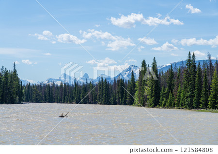 Athabasca River in Jasper National Park. Alberta, Canada. Canadian Rockies summer landscape. 121584808